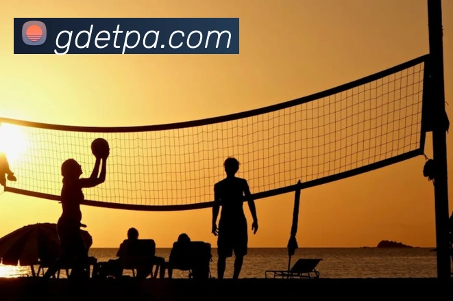 pa视讯发展历程