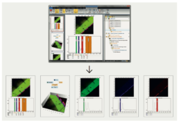 Attomap-Report-Attolight-Cathodoluminescence-Data-Analysis-Reporting-解决方案